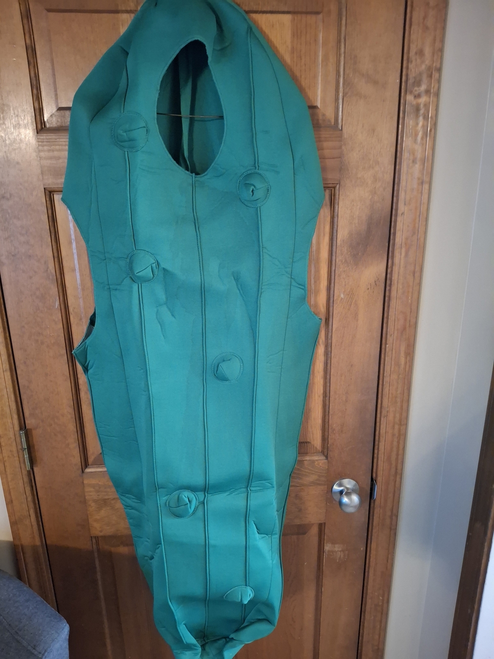 Pickle Costume - Green - Picture 4 of 4